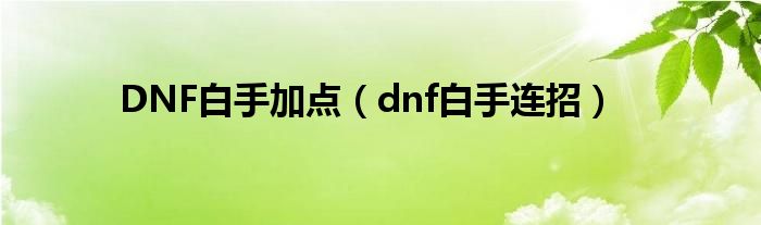 DNF白手加点（dnf白手连招）