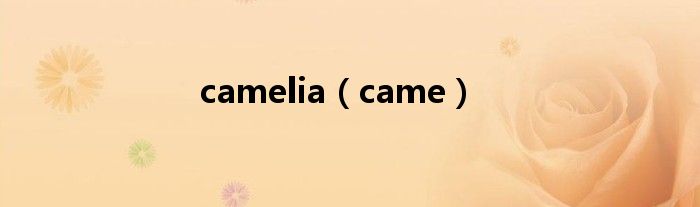 camelia（came）