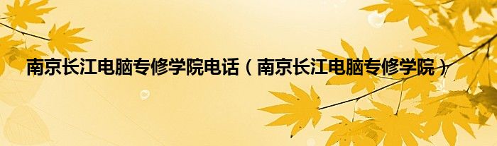 南京长江电脑专修学院电话（南京长江电脑专修学院）