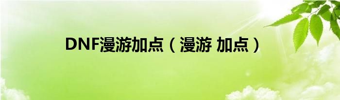 DNF漫游加点（漫游 加点）