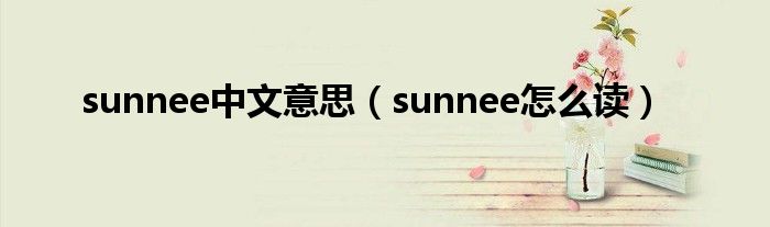 sunnee中文意思（sunnee怎么读）