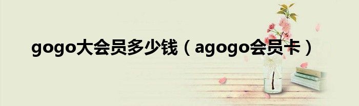 gogo大会员多少钱（agogo会员卡）