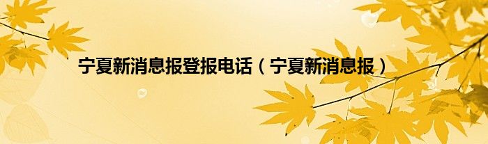 宁夏新消息报登报电话（宁夏新消息报）