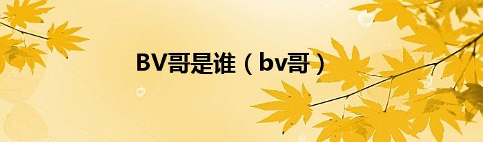 BV哥是谁（bv哥）