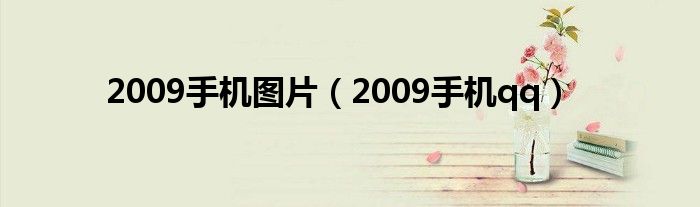 2009手机图片（2009手机qq）