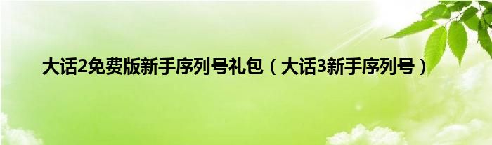 大话2免费版新手序列号礼包（大话3新手序列号）