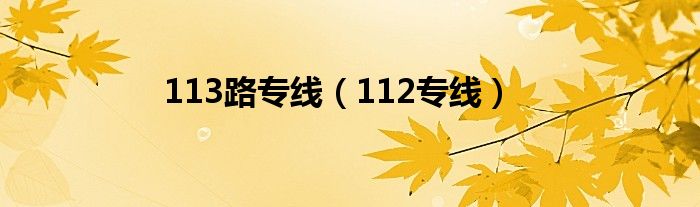 113路专线（112专线）