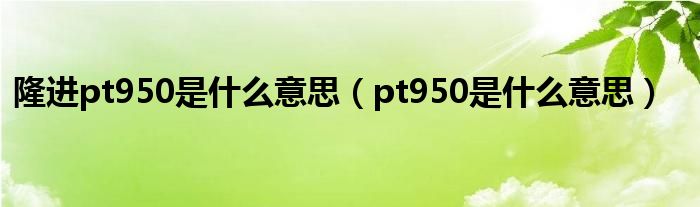 隆进pt950是是什么意思（pt950是是什么意思）