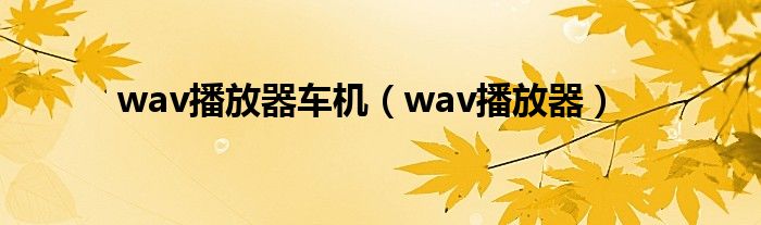 wav播放器车机（wav播放器）