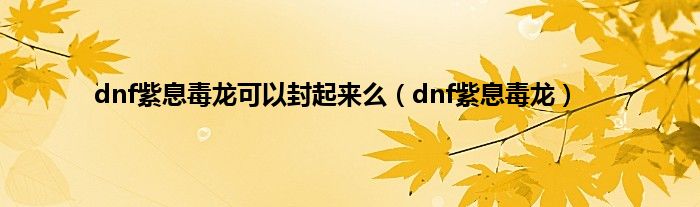 dnf紫息毒龙可以封起来么（dnf紫息毒龙）