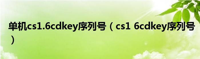 单机cs1.6cdkey序列号（cs1 6cdkey序列号）