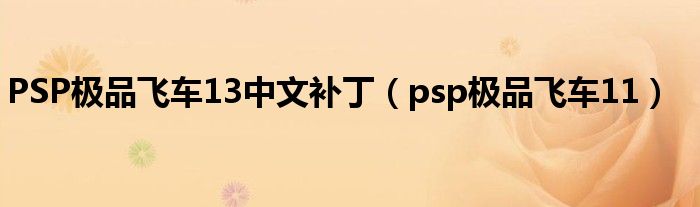 PSP极品飞车13中文补丁（psp极品飞车11）