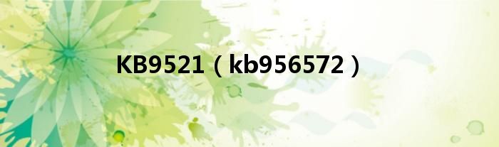 KB9521（kb956572）