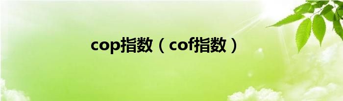 cop指数（cof指数）