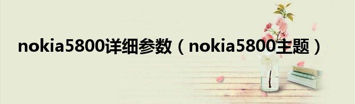 nokia5800详细参数（nokia5800主题）