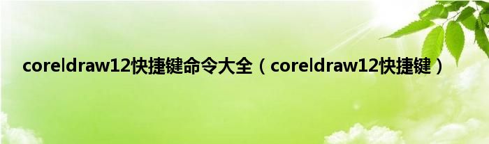 coreldraw12快捷键命令大全（coreldraw12快捷键）