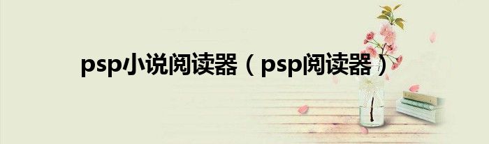 psp小说阅读器（psp阅读器）