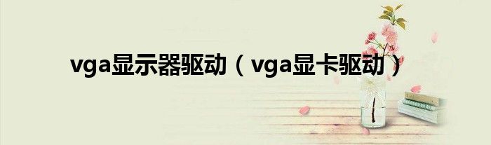 vga显示器驱动（vga显卡驱动）