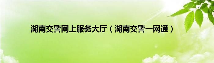 湖南交警网上服务大厅（湖南交警一网通）