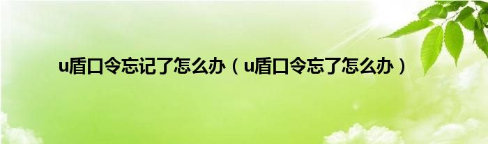 u盾口令忘记了怎么办（u盾口令忘了怎么办）