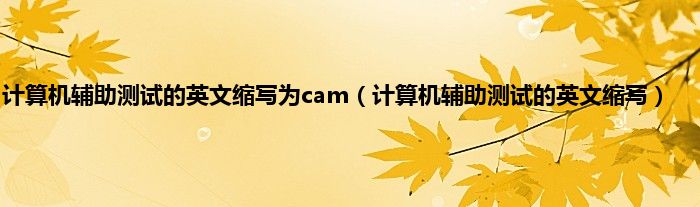 计算机辅助测试的英文缩写为cam（计算机辅助测试的英文缩写）