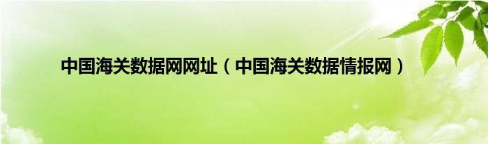 中国海关数据网网址（中国海关数据情报网）