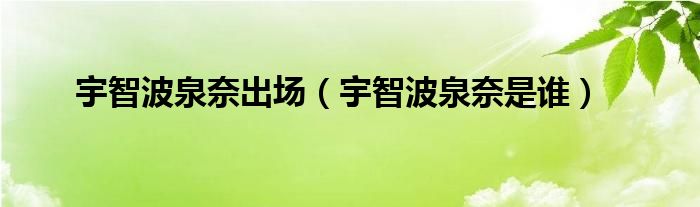 宇智波泉奈出场（宇智波泉奈是谁）