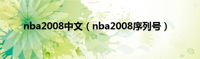 nba2008中文（nba2008序列号）