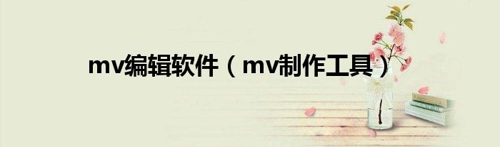 mv编辑软件（mv制作工具）