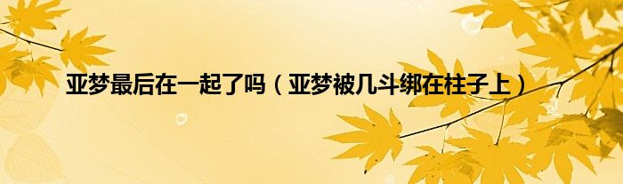 亚梦最后在一起了吗（亚梦被几斗绑在柱子上）