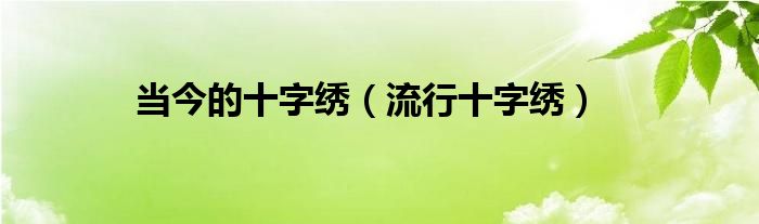 当今的十字绣（流行十字绣）