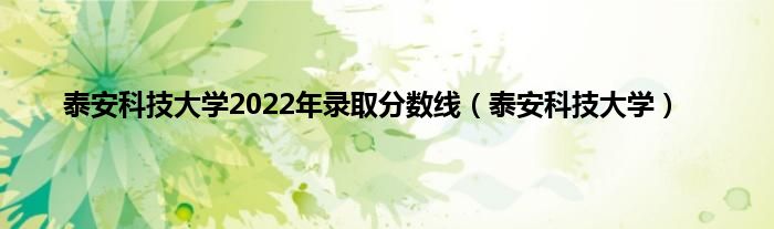 泰安科技大学2022年录取分数线（泰安科技大学）