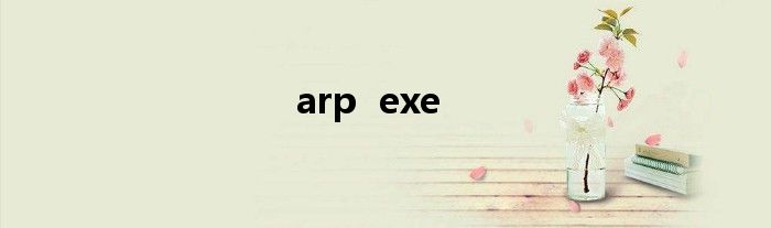 arp  exe