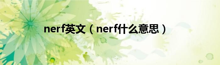 nerf英文（nerf是什么意思）