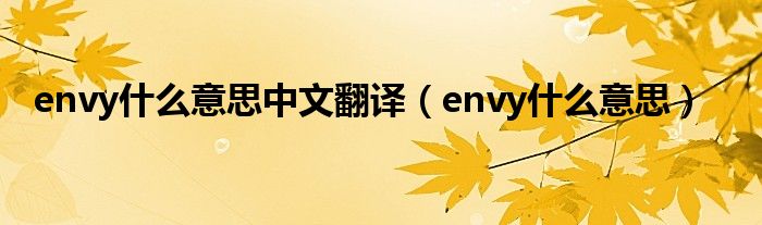 envy是什么意思中文翻译（envy是什么意思）