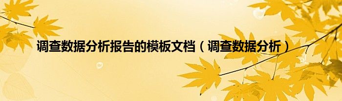 调查数据分析报告的模板文档（调查数据分析）