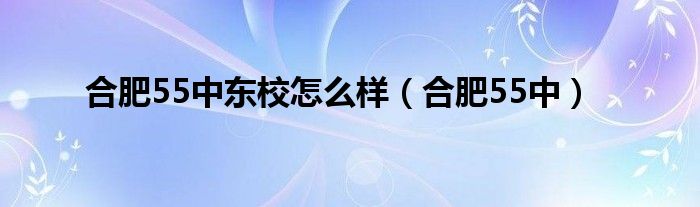 合肥55中东校怎么样（合肥55中）