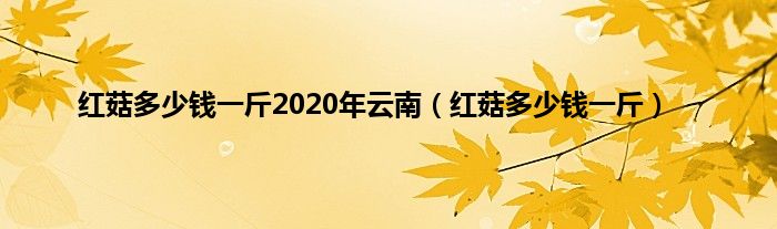 红菇多少钱一斤2020年云南（红菇多少钱一斤）