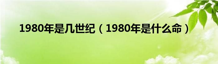 1980年是几世纪（1980年是是什么命）