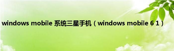 windows mobile 系统三星手机（windows mobile 6 1）