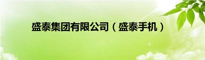 盛泰集团有限公司（盛泰手机）