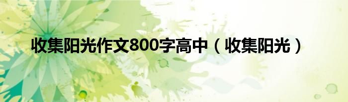 收集阳光作文800字高中（收集阳光）