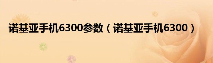 诺基亚手机6300参数（诺基亚手机6300）