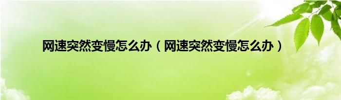 网速突然变慢怎么办（网速突然变慢怎么办）