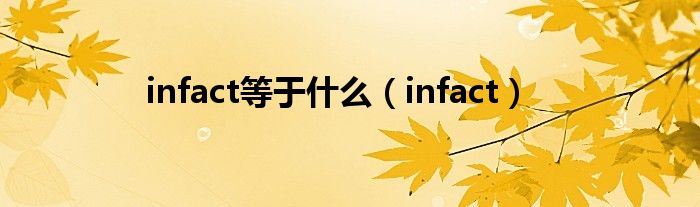 infact等于是什么（infact）