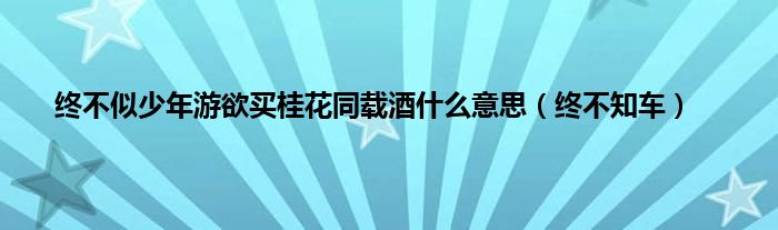 终不似少年游欲买桂花同载酒是什么意思（终不知车）