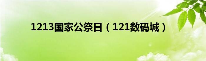 1213国家公祭日（121数码城）