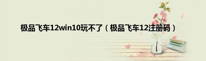 极品飞车12win10玩不了（极品飞车12注册码）