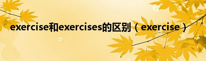 exercise和exercises的区别（exercise）