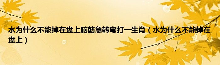 水为是什么不能掉在盘上脑筋急转弯打一生肖（水为是什么不能掉在盘上）